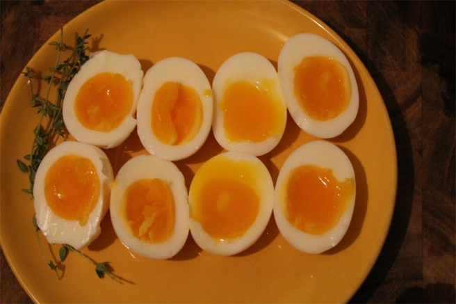 eggs7